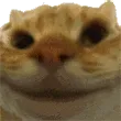 Sisi