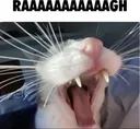 AAAAAAA