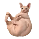 nakeylolz nakeylolz