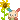 co_usahanasun