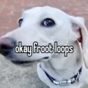 okayfrootloops