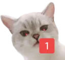 64439pingdisgustnana