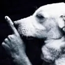 shhhhh