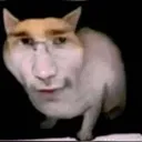 CarStare