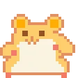 rat