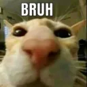 Bruh