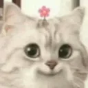 Cat_CuteSmile
