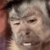 monkeywtf Discord emoji