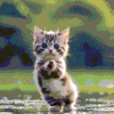 cataidance Discord emoji