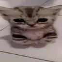 3d7d4a4b46482feda80cb8cb49906b5f