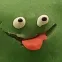forgderp1