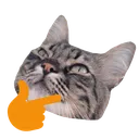 thinking_kedicik