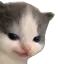 hehe