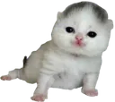 goobert