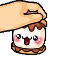 smorek1Pet