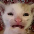 DESPAIR