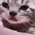 sadCat sadCat