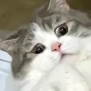 umwell