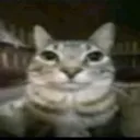 stare stare
