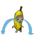bananacat10