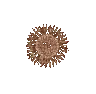 _fireworks