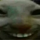 xdd xdd
