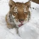 yummy
