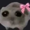 ROSIE2 ROSIE2