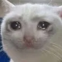 Sadge