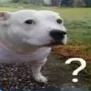 Huh