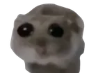 SadHampster