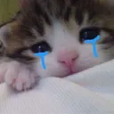 Screenshot_20231204_153613