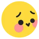tt_blush