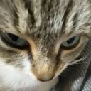 ANGER
