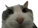 eWhenme