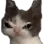 POPOcat POPOcat