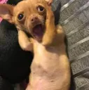 012_shocked