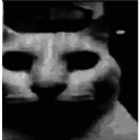 catDespair