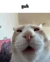 guh guh
