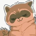 raccooonn_heh