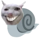 snail12
