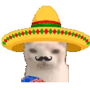 MuchoGato MuchoGato