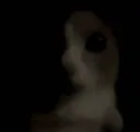 ashushao