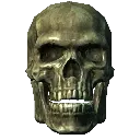 THESKELETONAPPEARS