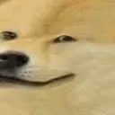 dogesmile