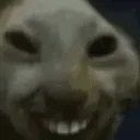 XDD