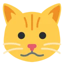 stupidass