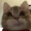 5_ 5_
