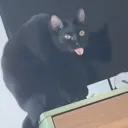 emoji_37