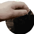 FH_petDralos Discord emoji